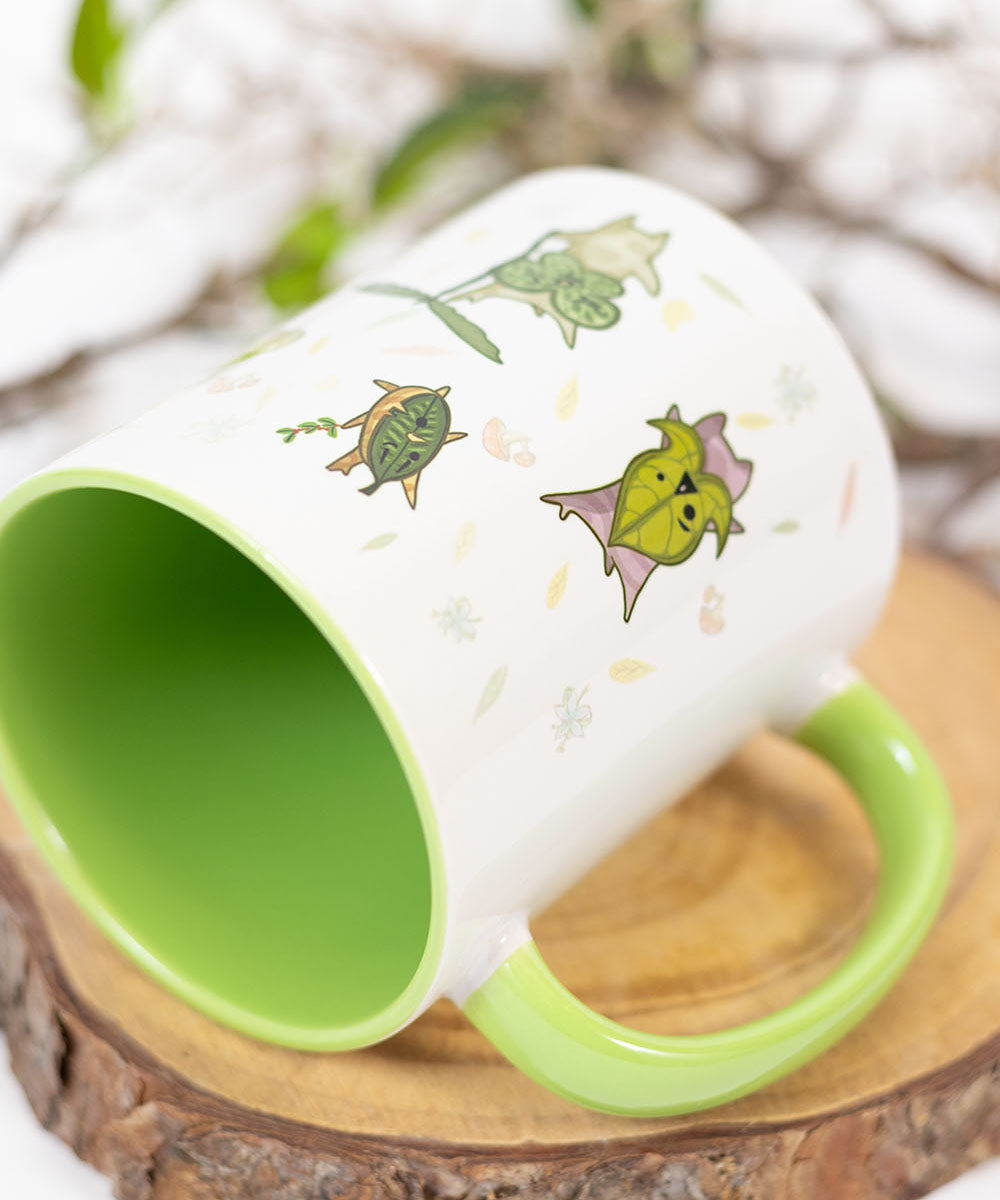 CANECA - KOROKS